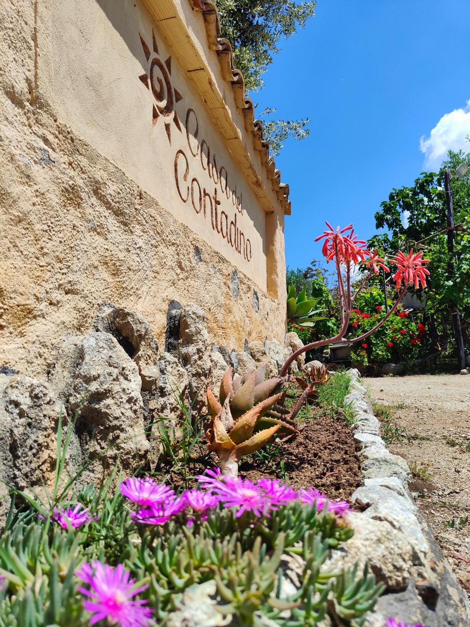 Drapia Agriturismo Casa Del Contadino מראה חיצוני תמונה
