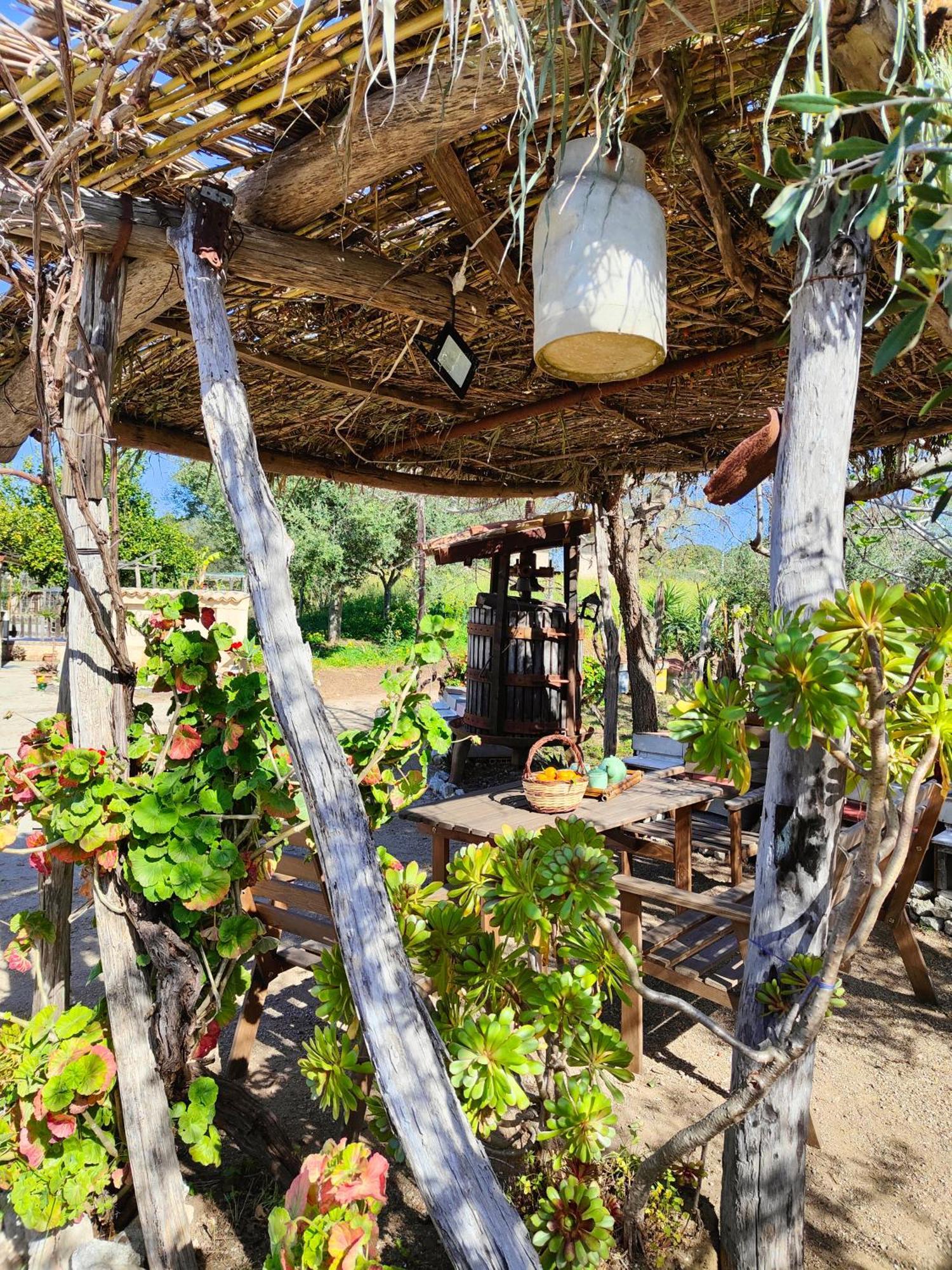 Drapia Agriturismo Casa Del Contadino מראה חיצוני תמונה
